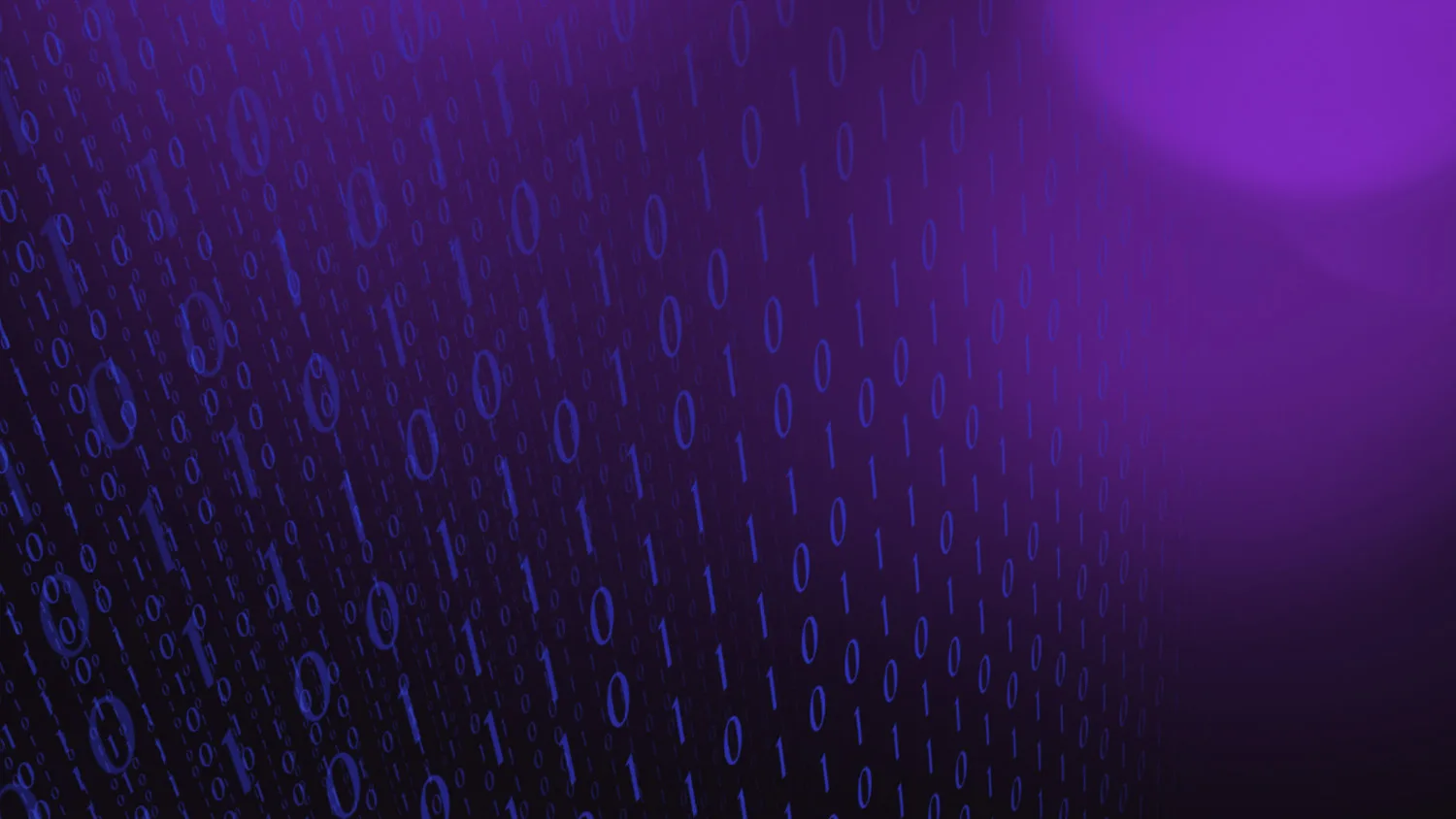 Software su misura