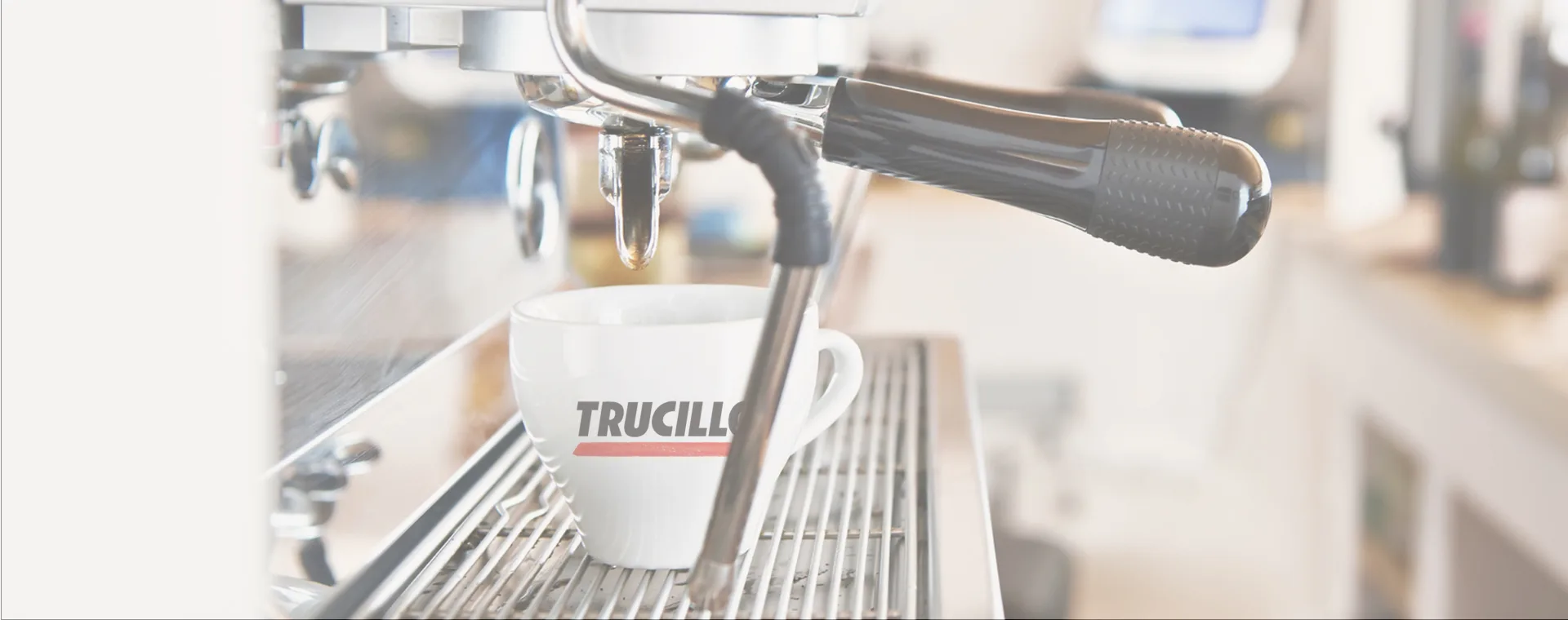 Il progetto Trucillo